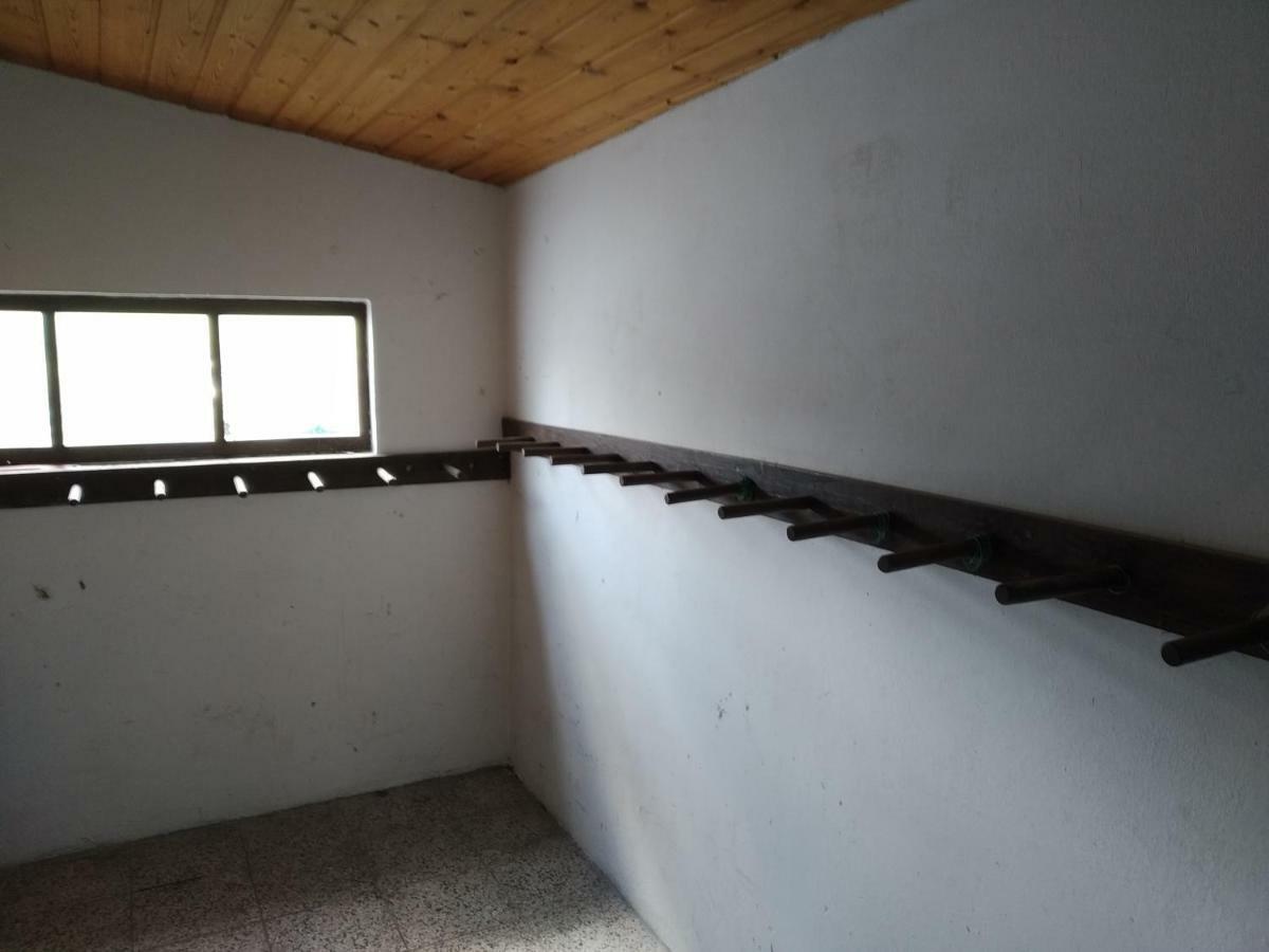 Pohoraly Homestay Rokytnice nad Jizerou